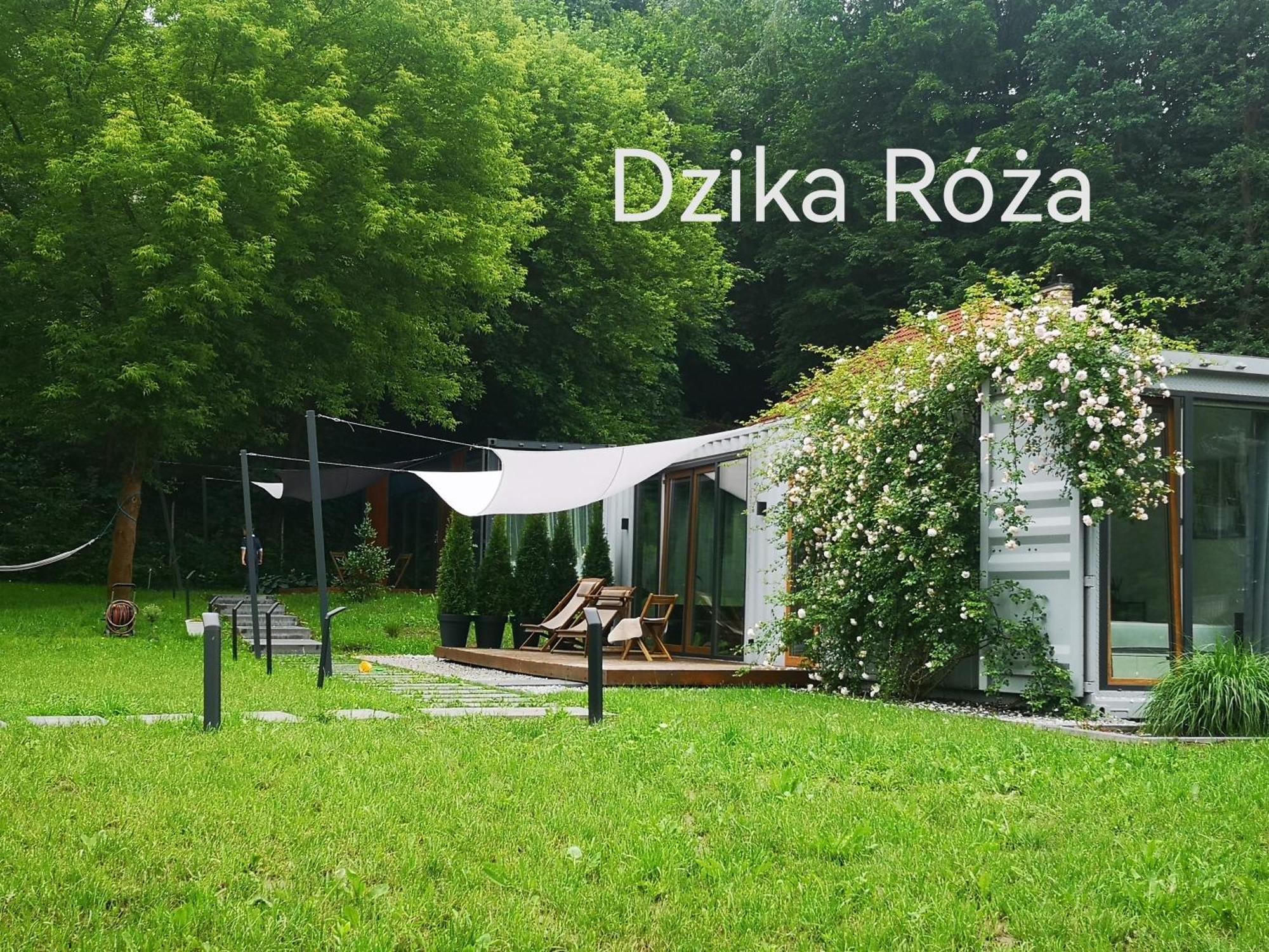Holiday home Kazielnik *